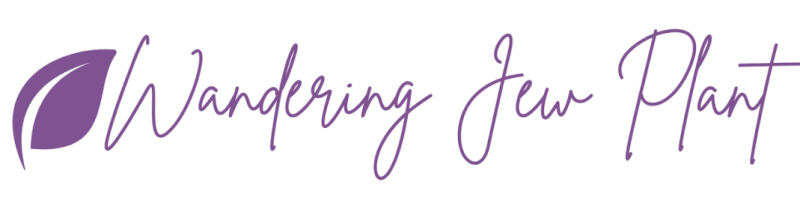 wandering jew logo